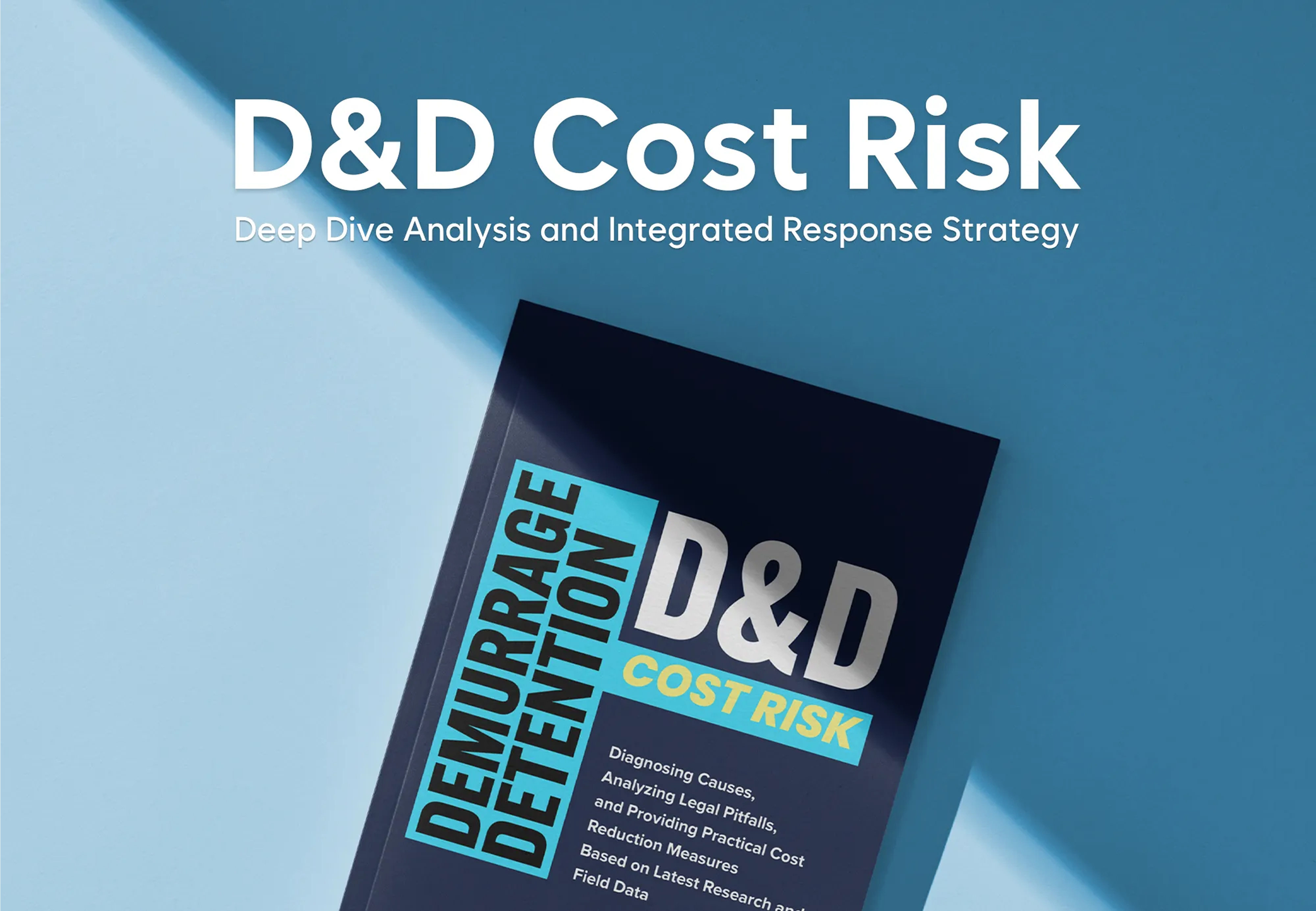 market-insights-d&d-cost-risk