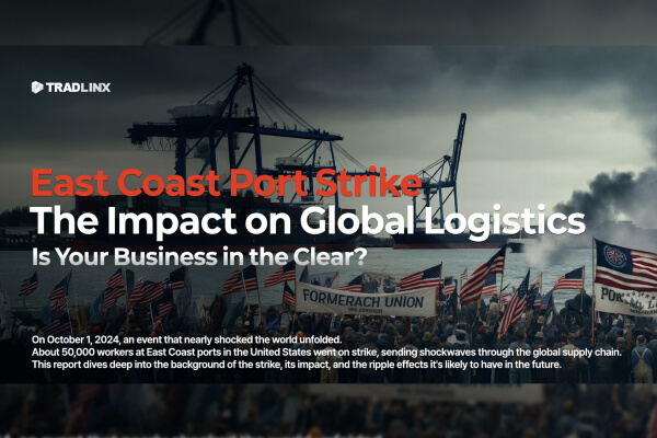 market-insights-east-coast-port-strike